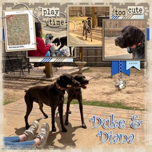 Duke + Diana playing 4.8.2024