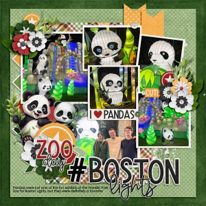 Boston Lights