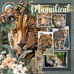 Magnificent