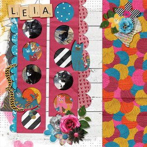 leia-sept-23