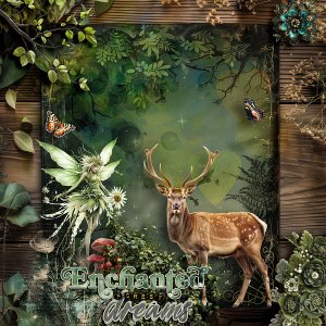 Enchanted forest dreams
