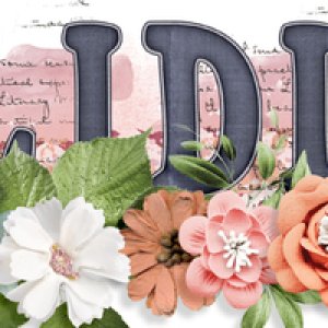 iNSD 2024 Signature challenge