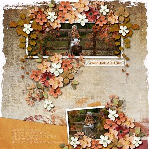Leave Your Wishes-Bundle