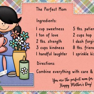 Perfect Mom