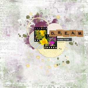 May24 iNSD Minikit