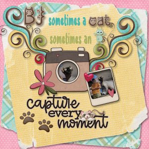 Sometimes a Cat