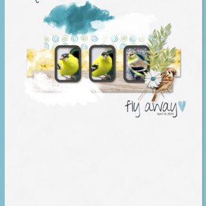 Fly Away