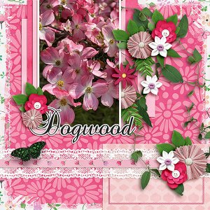 Dogwood