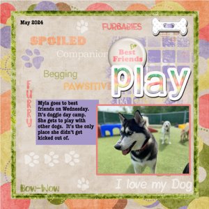 2024-05-10-myla camp