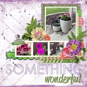 Spring State of Mind - new flowers