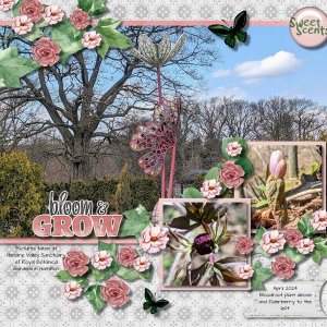 Royal Botannical Gardens