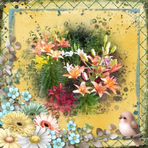 Dwarf Lily Garden