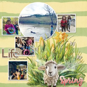Life on the Homestead
