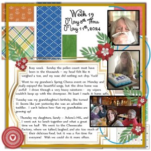 Project 365 Challenge - Week #19