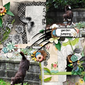 Garden Jumping