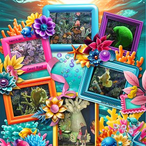 Shedd Aquarium Coral Varieties
