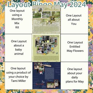 tmd_maybingo2024_1