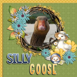 Silly Goose