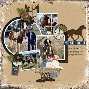 EJs-new-horse
