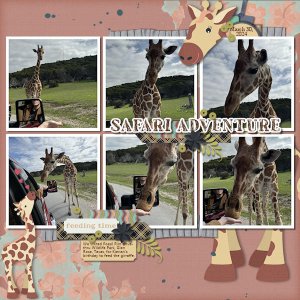 Safari Adventure