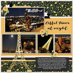 Europe_Eiffel Tower Night