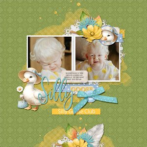 Silly Goose