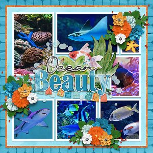 ocean beauty