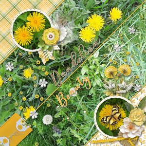Dandelion Beauty