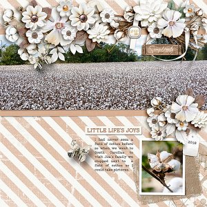 Cotton
