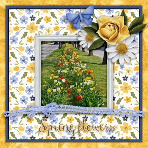 Spring-Flowers24
