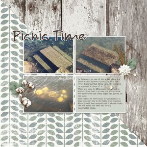 2024-picnic-table
