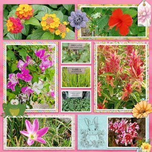 flowers