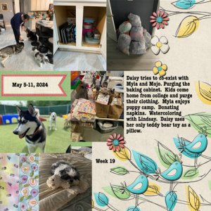 2024 Week 19