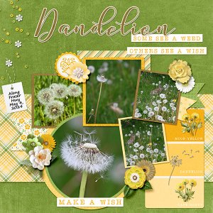 _Dandelion Wishes - Right_
