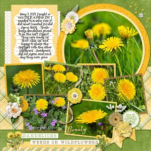 _Dandelion Wishes - Left_