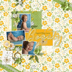 Paint Chips Dandelion from Designs by Connie Prince