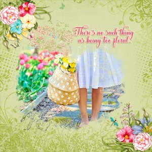 Spring Flowers
