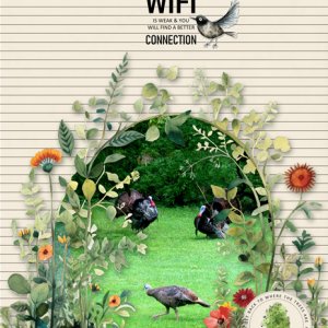 WiFi Free Zone