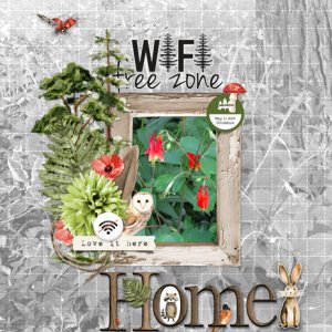 WiFi Free Zone