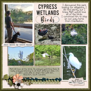 Cypress Birds