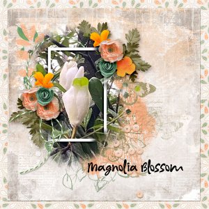 Magnolia Blossom