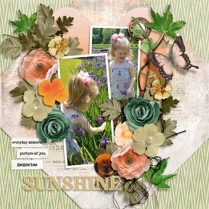 Sunshine