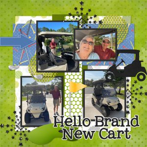 New Golf Cart
