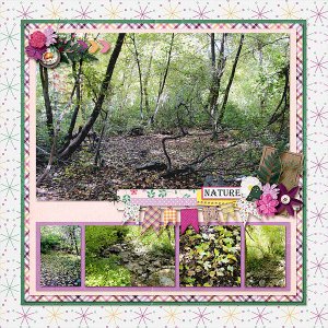 Nature Walk