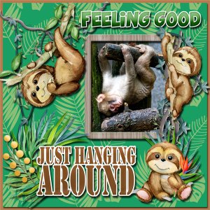 Just Hanging Around