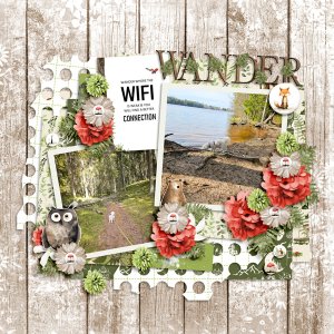 Wander