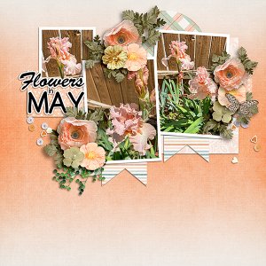 May-Flowers11