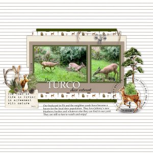 The Turco Deer Retreat