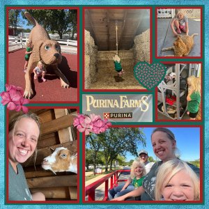 Purina Farms