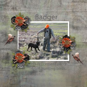 Badger